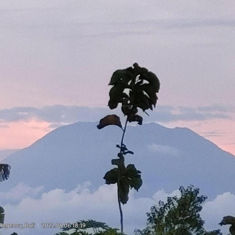 Villa Ume Tenang Nusa Penida Εξωτερικό φωτογραφία
